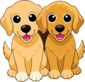 Golden Retriever Puppies Ready For Adoption